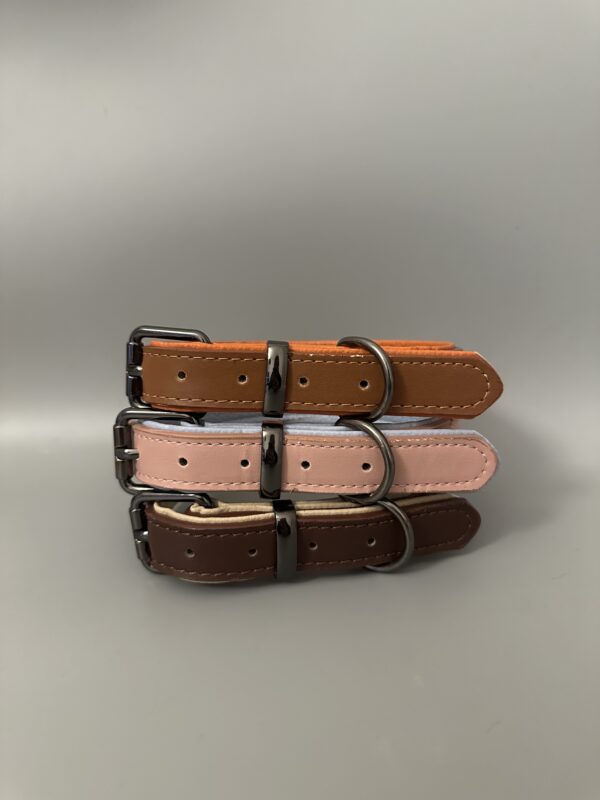 collare in pelle per cani e gatti