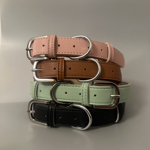 collare in pelle per cani e gatti