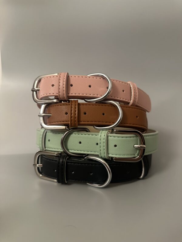 collare in pelle per cani e gatti